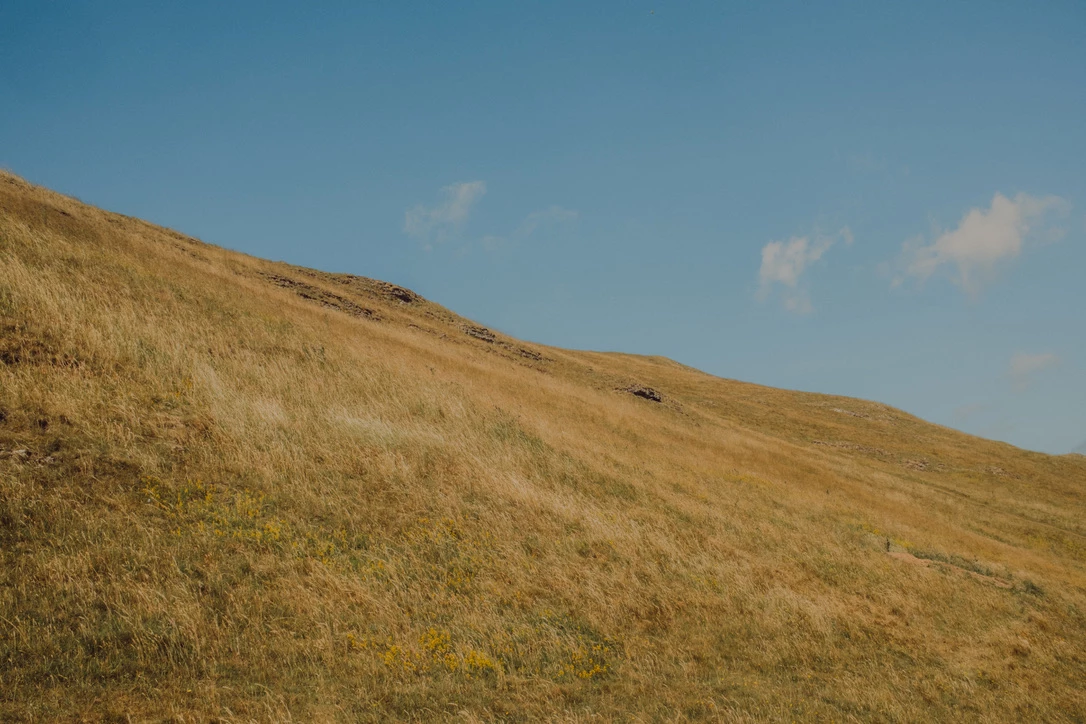 Photo of a hillside from the Peak District. Photograph by Dave Smyth.